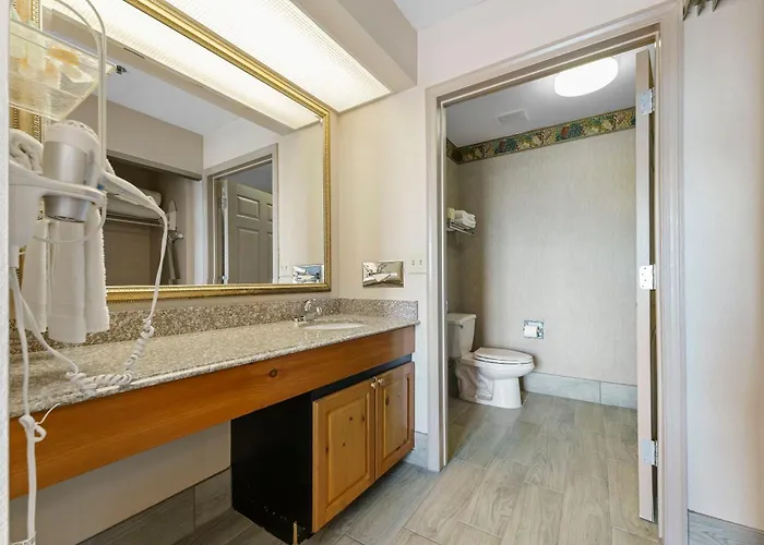 Metro Promo 1 Bd 1 * Scottsdale